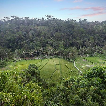 Black Penny Villas Ubud Extérieur photo