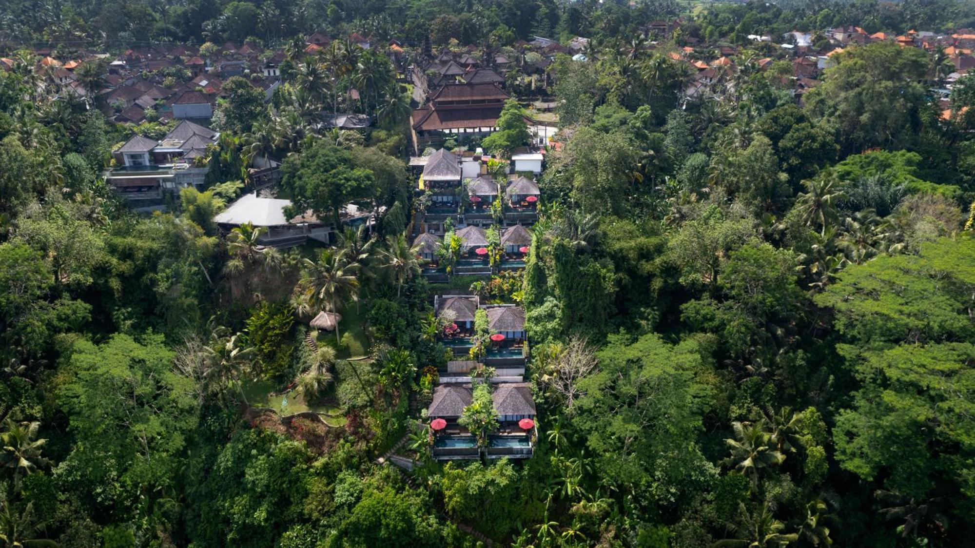 Black Penny Villas Ubud Extérieur photo