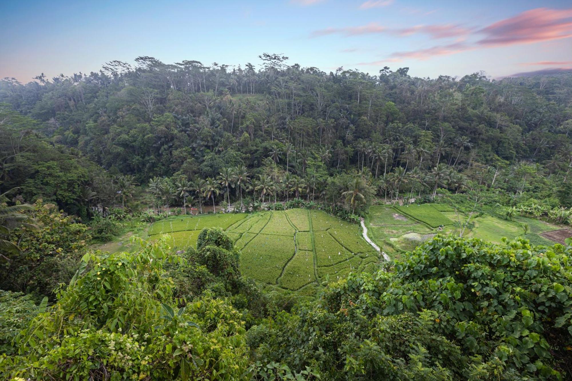 Black Penny Villas Ubud Extérieur photo